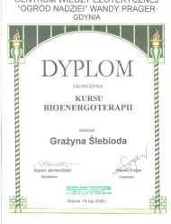 dyplom-bioenrgoterapia-2008-jemendzan
